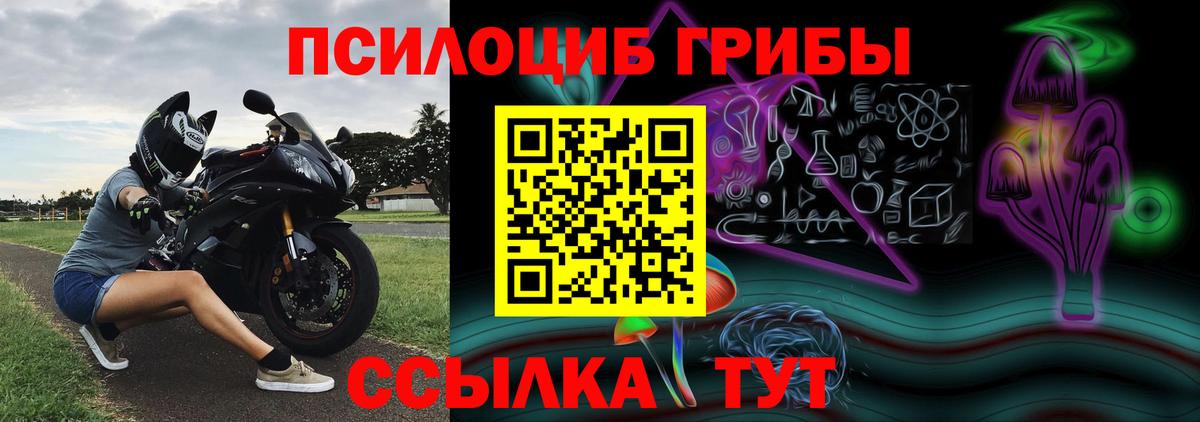 Галлюциногенные грибы Psilocybine cubensis Нарткала
