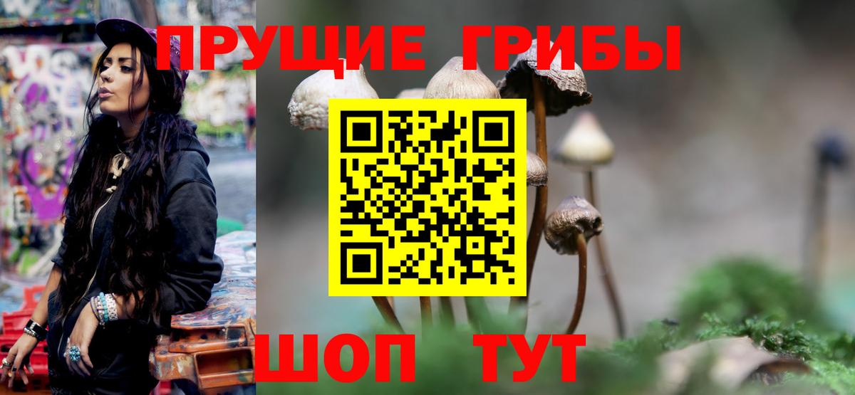 Псилоцибиновые грибы Psilocybine cubensis  наркотики  Нарткала  Вход с VPN 